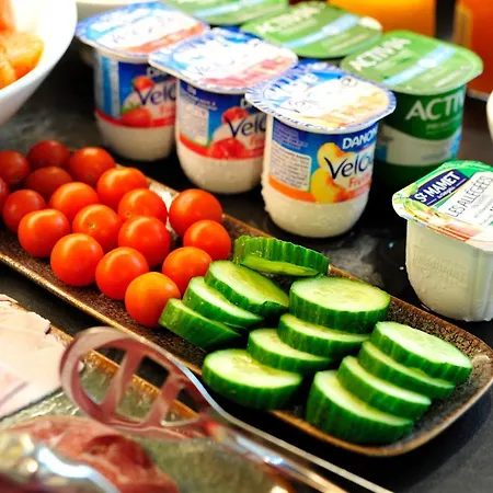 厄尔维西亚酒店 巴黎